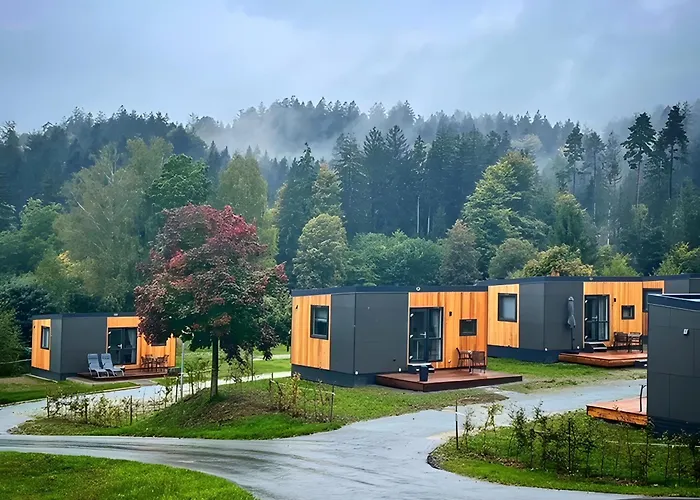 Th7 Lamar Holiday home Untergriesbach